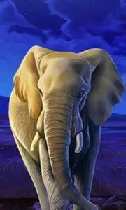 African Elephant