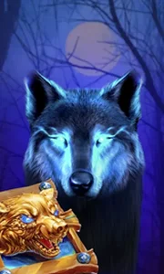 Book Of The Night Wolf