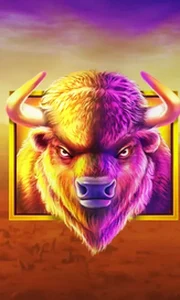 Buffalo King